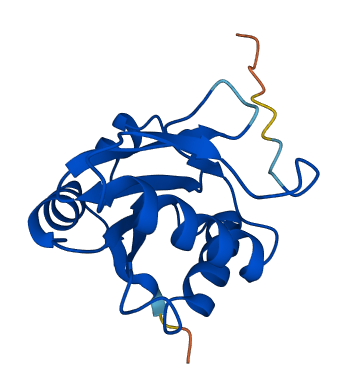 TXNL4B 3D structure