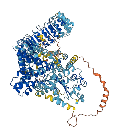 NLRP2 3D structure
