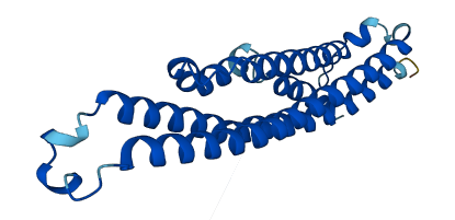 C1orf109 3D structure