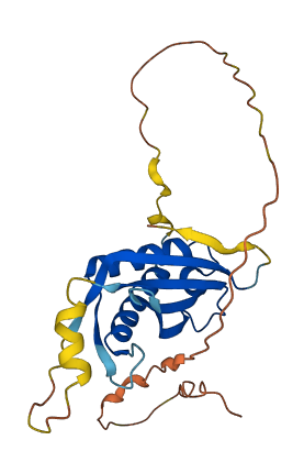 DDIT4 3D structure