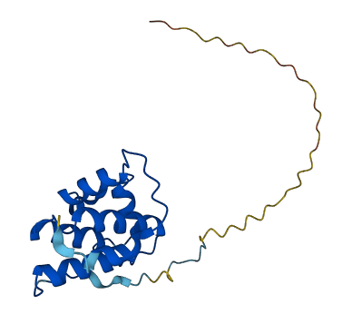 SDHAF2 3D structure