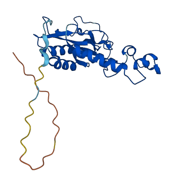 MRPL16 3D structure