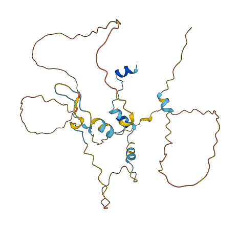 OSER1 3D structure