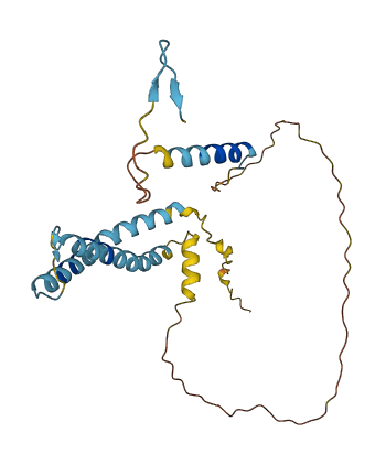 OCIAD1 3D structure
