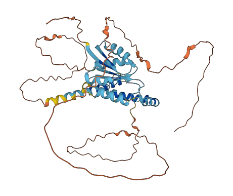 SOHLH2 3D structure