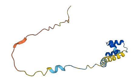 HYPK 3D structure