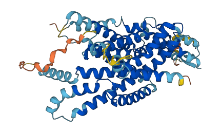 TMEM161A 3D structure