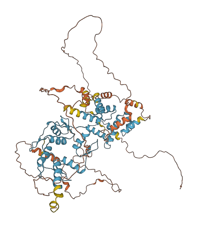 ZSCAN32 3D structure