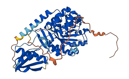 DUS2 3D structure