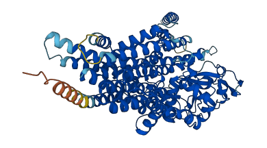 TMEM260 3D structure