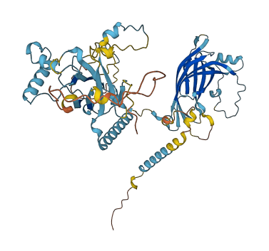 MKS1 3D structure