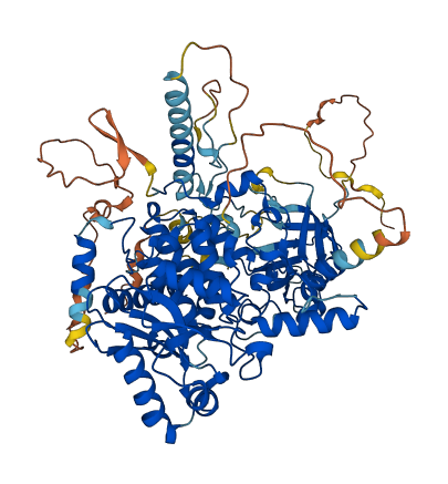 MTMR10 3D structure