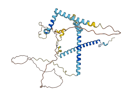 CWC25 3D structure
