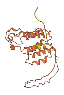 DCAF16 3D structure