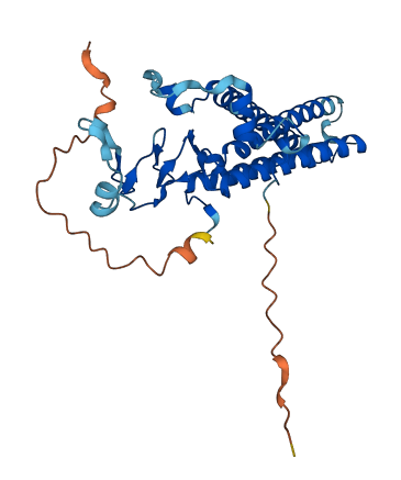 ZDHHC7 3D structure