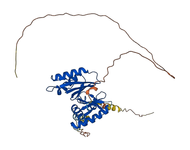 THUMPD1 3D structure