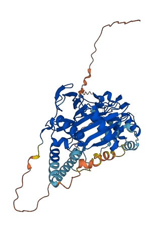 P4HTM 3D structure