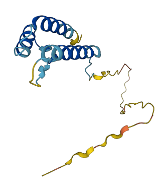 PPP1R14D 3D structure