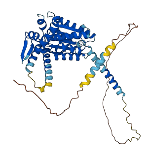 TOR4A 3D structure