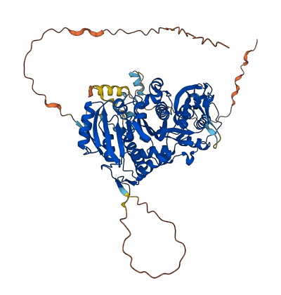 TRMT1 3D structure