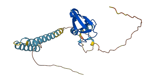 RNF186 3D structure
