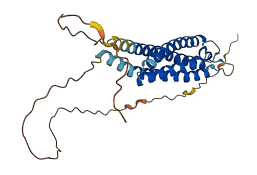 MS4A12 3D structure