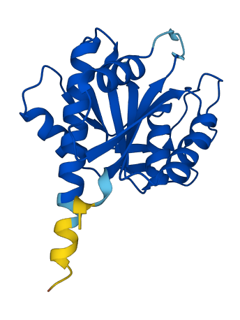PGPEP1 3D structure