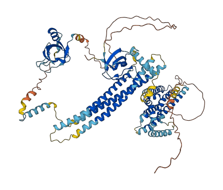 ARHGEF38 3D structure