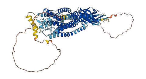 SIDT1 3D structure