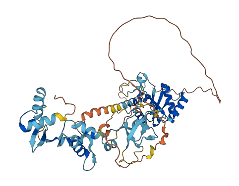 GIN1 3D structure