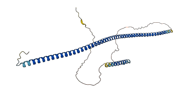 NDE1 3D structure