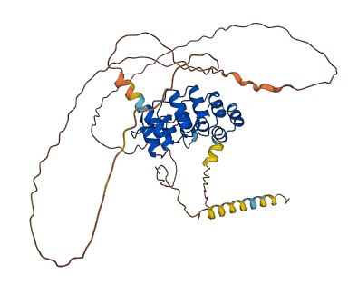 ANKRD10 3D structure