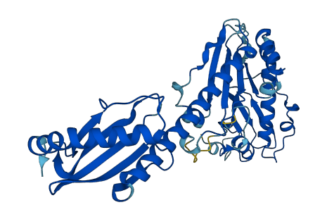 BABAM2 3D structure