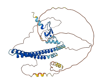 ING3 3D structure