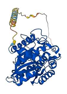 QPCTL 3D structure