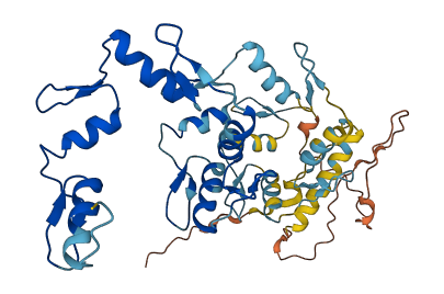 ZNF586 3D structure