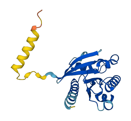 ARL15 3D structure