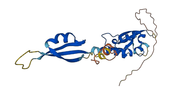 KCTD5 3D structure