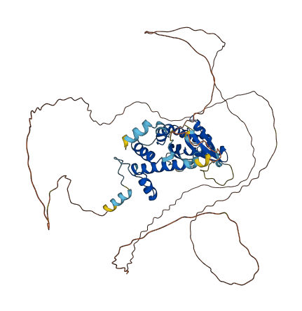 CDKN2AIP 3D structure