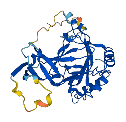 ALKBH4 3D structure