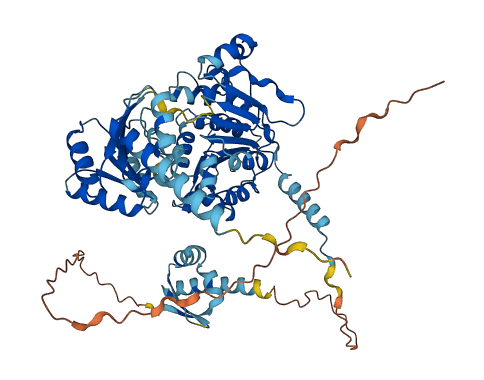DDX43 3D structure