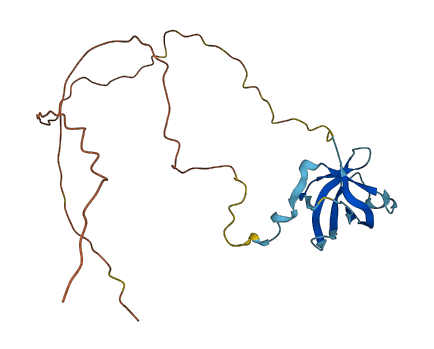 GAR1 3D structure