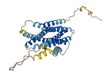 SLC39A1 3D structure