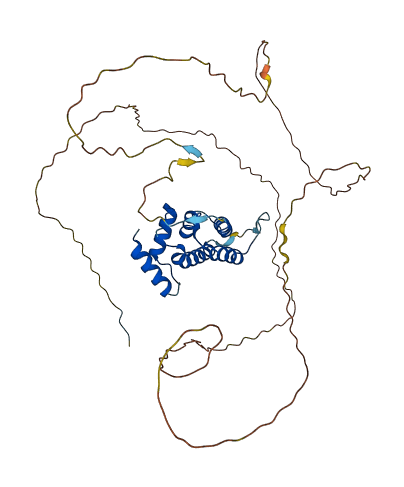 PPP4R2 3D structure