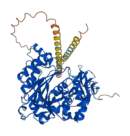 GALNT8 3D structure