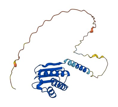 BTG4 3D structure