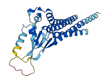 CLDND1 3D structure