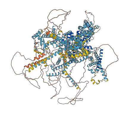 SCN3A 3D structure