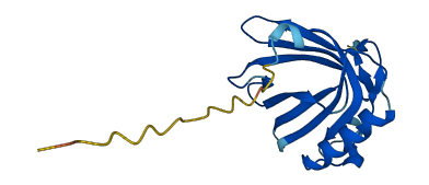 OBP2A 3D structure