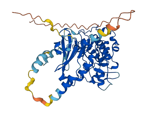 STK32B 3D structure